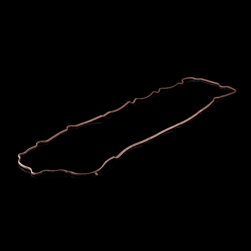 Прокладка клапанной крышки Прокладка клапанной крышки