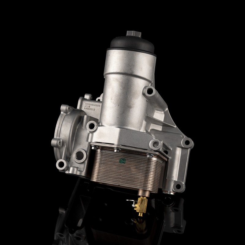 Масляный радиатор и фильтр в сборе 1001081032  