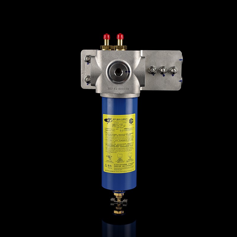 Фильтр газовый низкого давления в сборе Фильтр газовый низкого давления в сборе