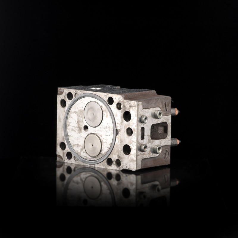 Головка цилиндра с клапанами 820.90-1003010-30  