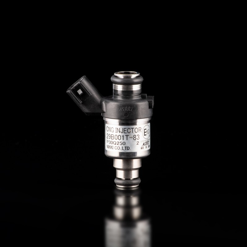 Форсунка топливная (Дозатор) Форсунка топливная (Дозатор)