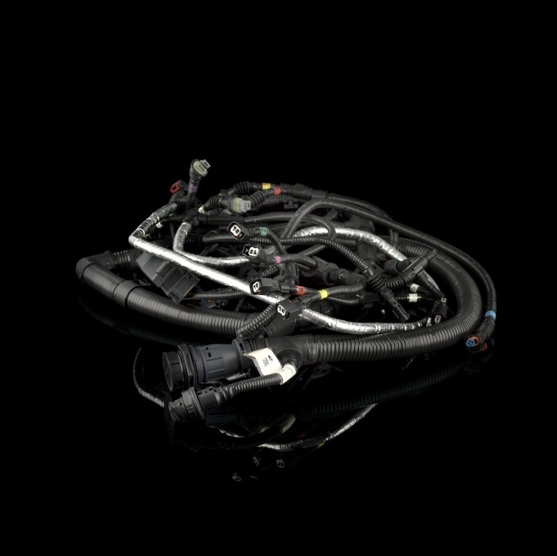 Жгут проводов двигателя  